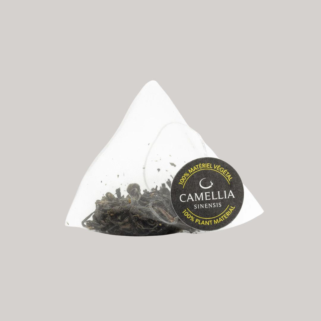 Camellia Sinensis - Mao Feng - 15 sachets de thé